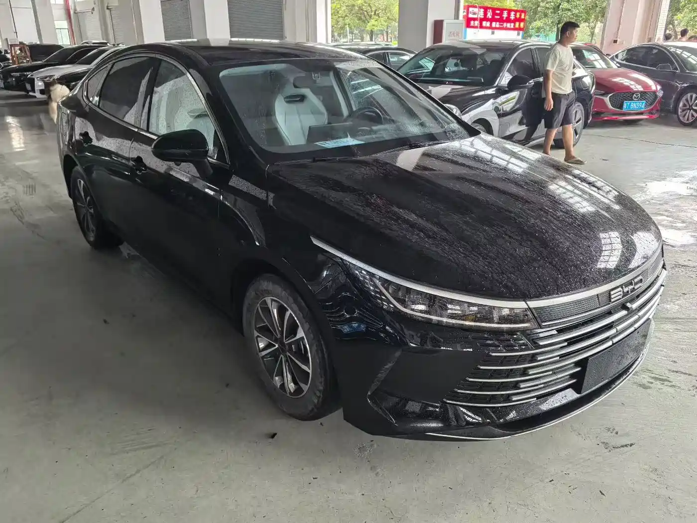 BYD Destroyer 05 2023 Champion Edition DM-i 55KM Luxury фото 2