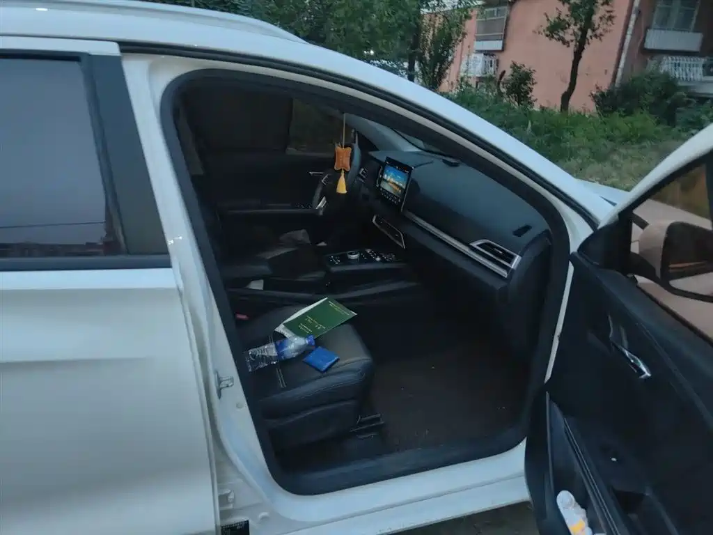 BYD e2 2019 Standard Range Intelligent Comfort фото 22
