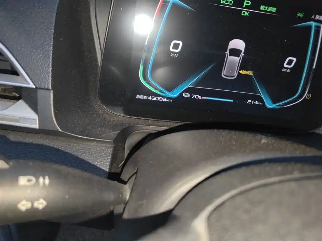 BYD e2 2019 Standard Range Intelligent Comfort фото 9