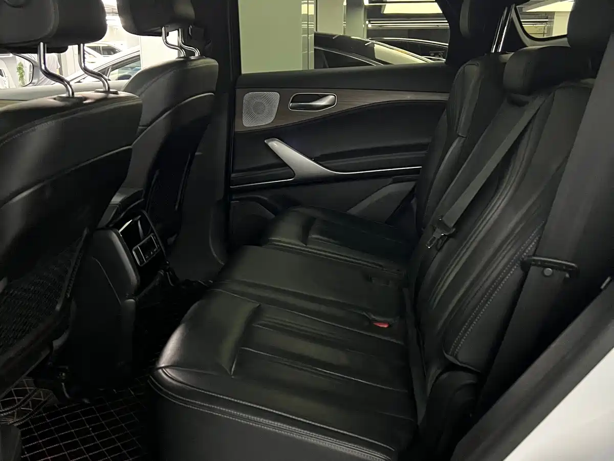 Denza X 2021 2020 Model PHEV Flagship Edition