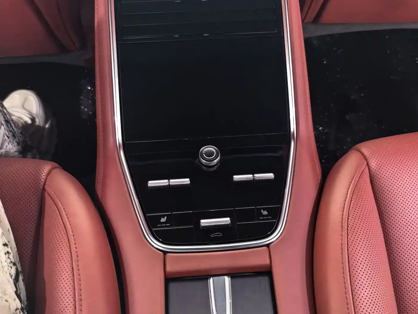 Porsche Panamera 2022 Panamera 2.9T Platinum Edition фото 14