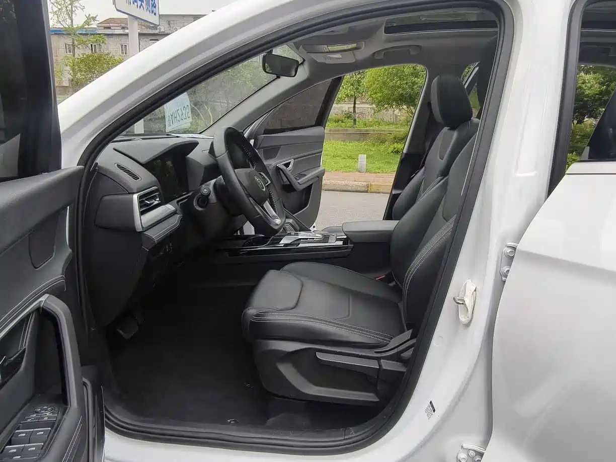 BYD Song Pro 2019 1.5T Automatic Elite фото 13