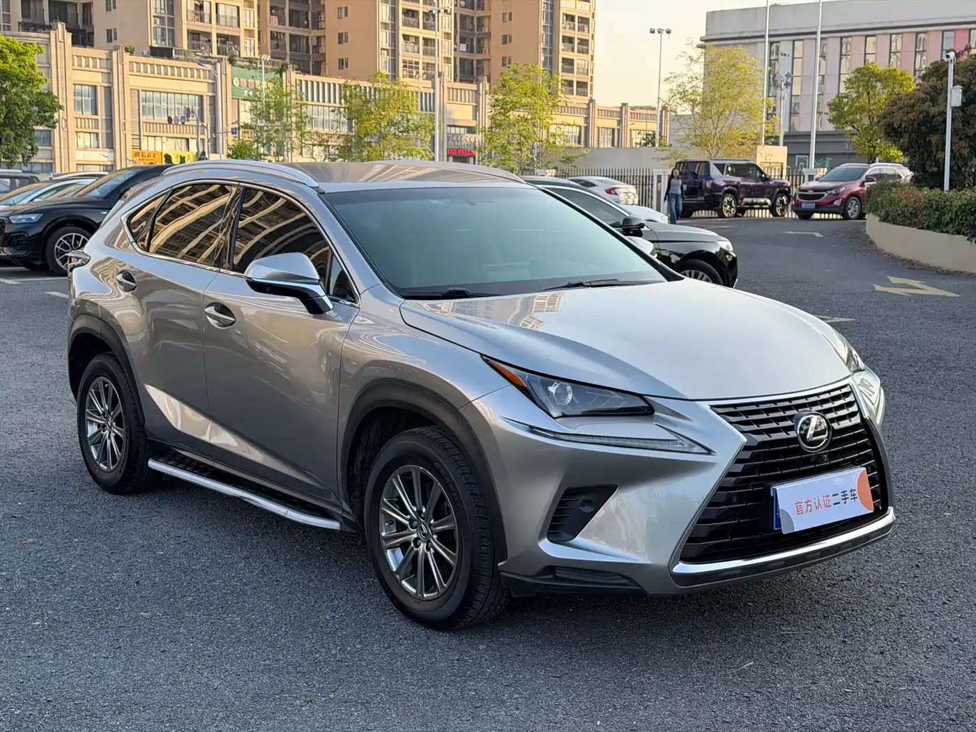 Lexus NX 2018 Model 300 FWD Fengxing Edition фото 3