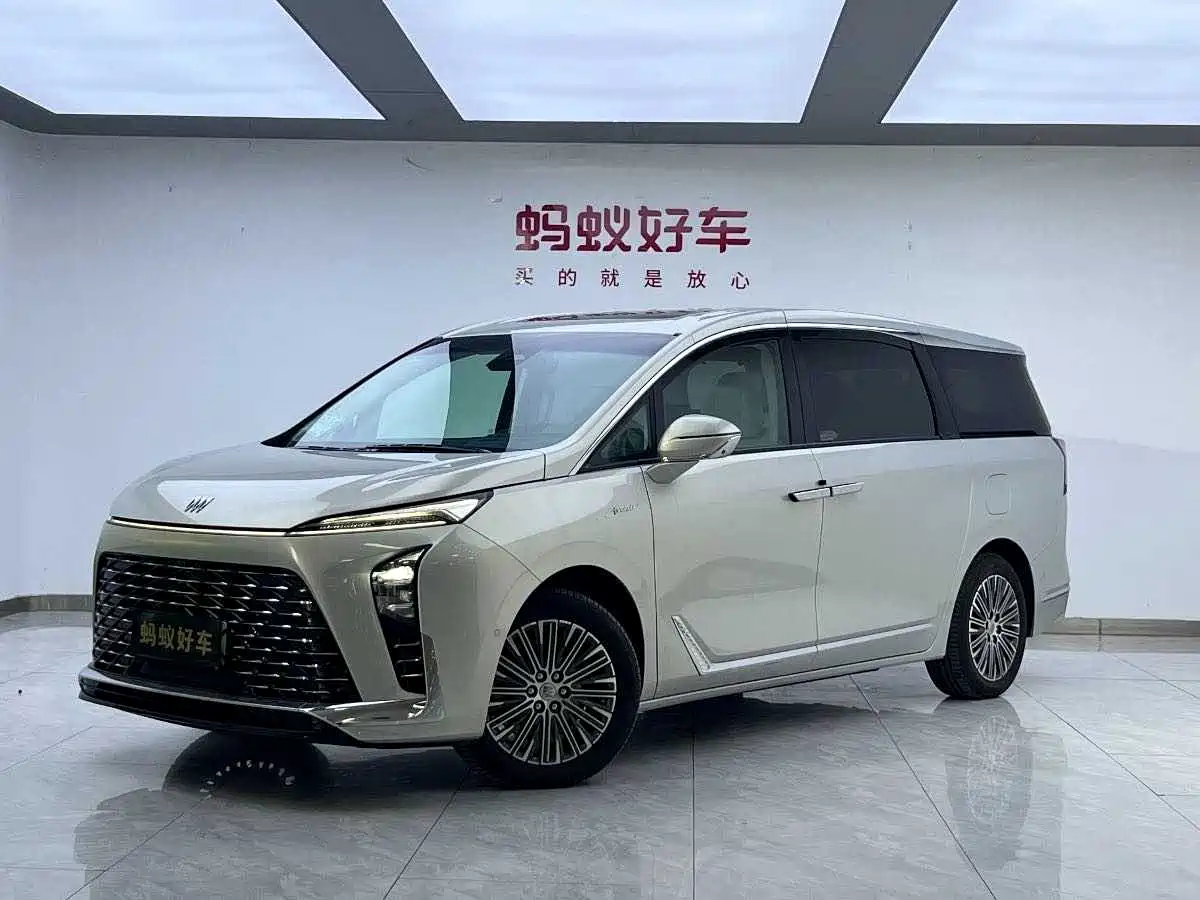 Buick GL8 New Energy 2024 Land Honor Luxury Edition 6-Seater