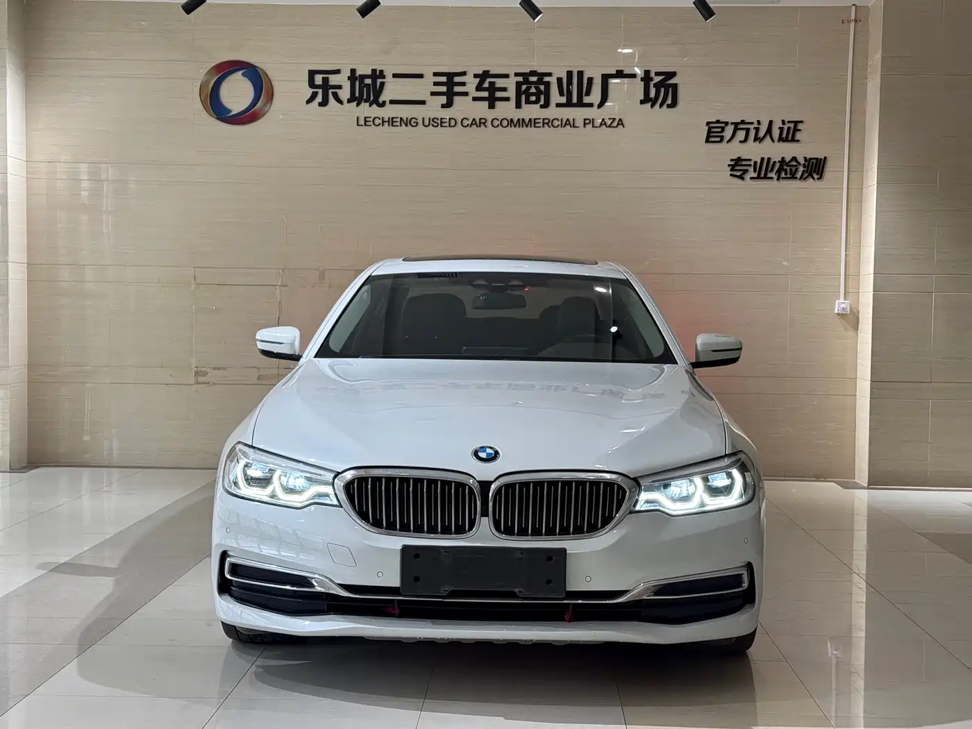 BMW 5 SERIES NEW ENERGY