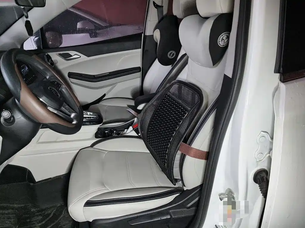 BYD Yuan Pro 2021 2021 401KM Premium Model
