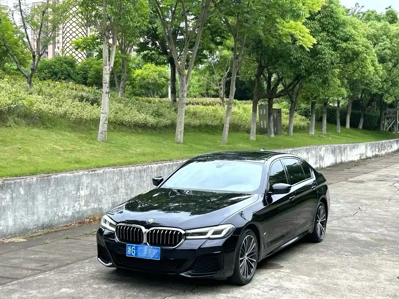 BMW 5 Series 2021 530Li Leading Luxury Package