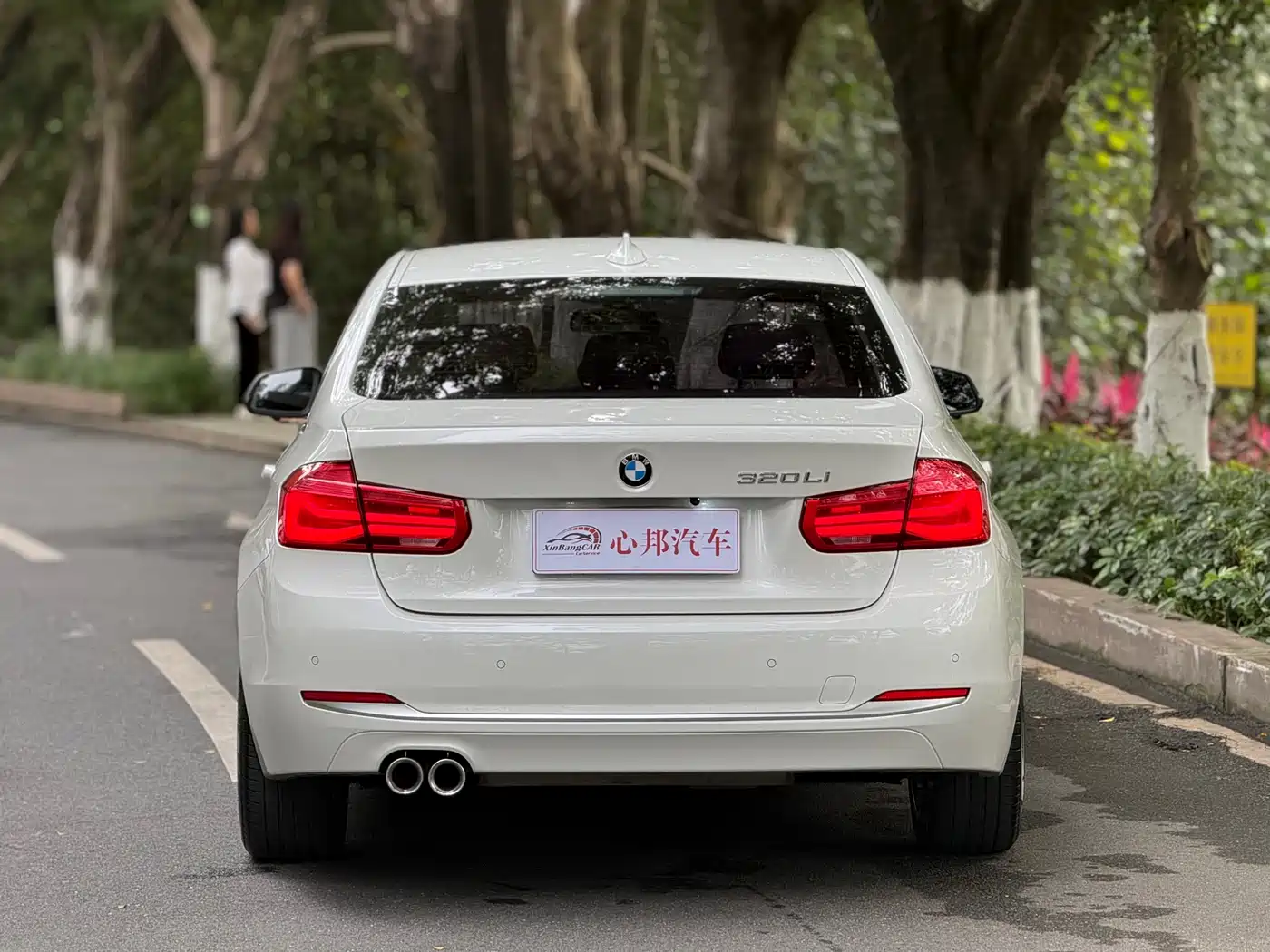 BMW 3 Series 2019 320Li Fashion Type фото 20