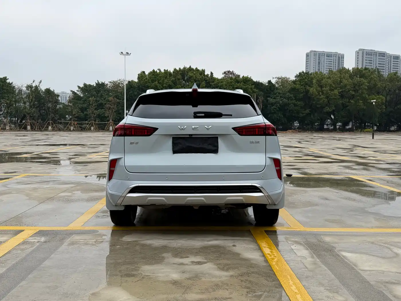 WEI PAI WEI BRAND MOCHA