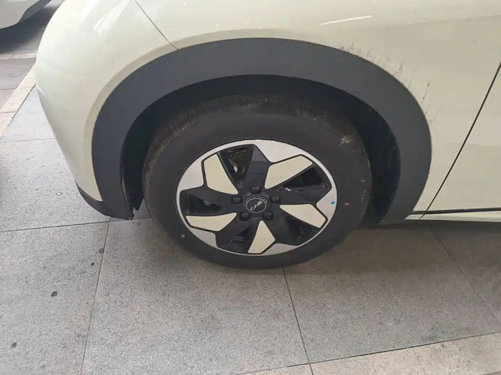 BYD Dolphin 2026 2025 420km Freedom Edition
