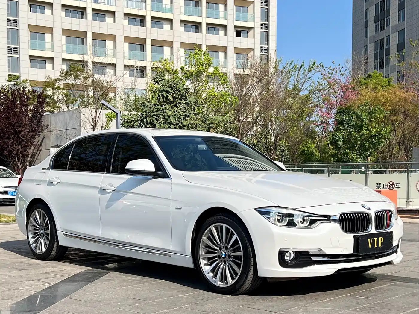 BMW 3 Series 2018 320Li Leading Luxury Package фото 2