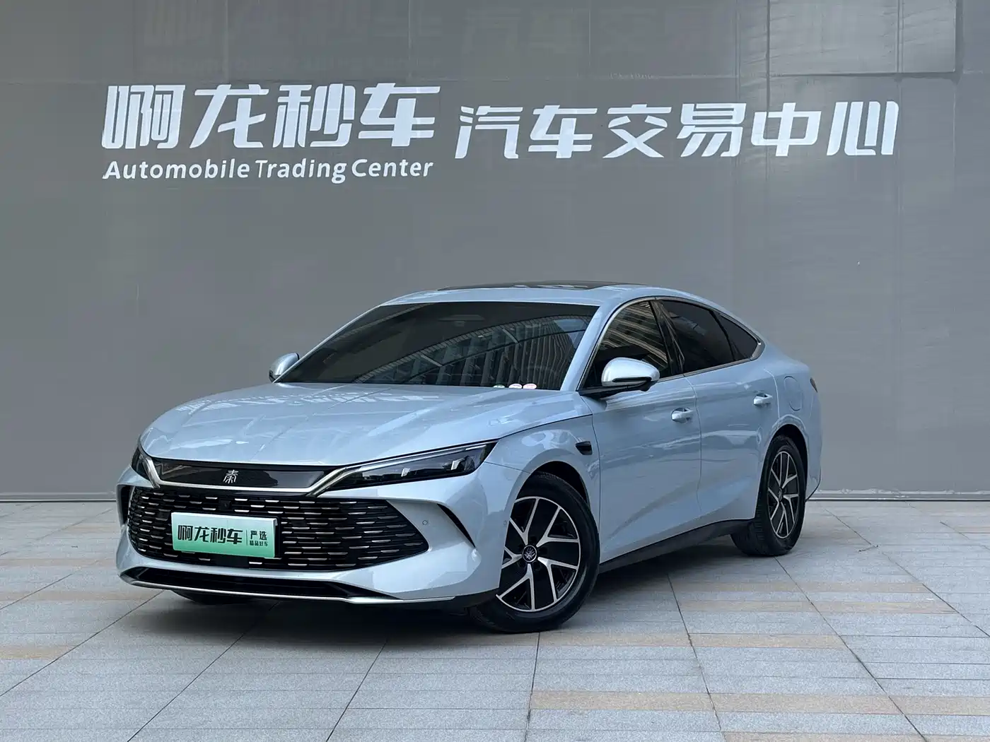 BYD Qin L 2025 DM-i Smart Drive 80KM Premium