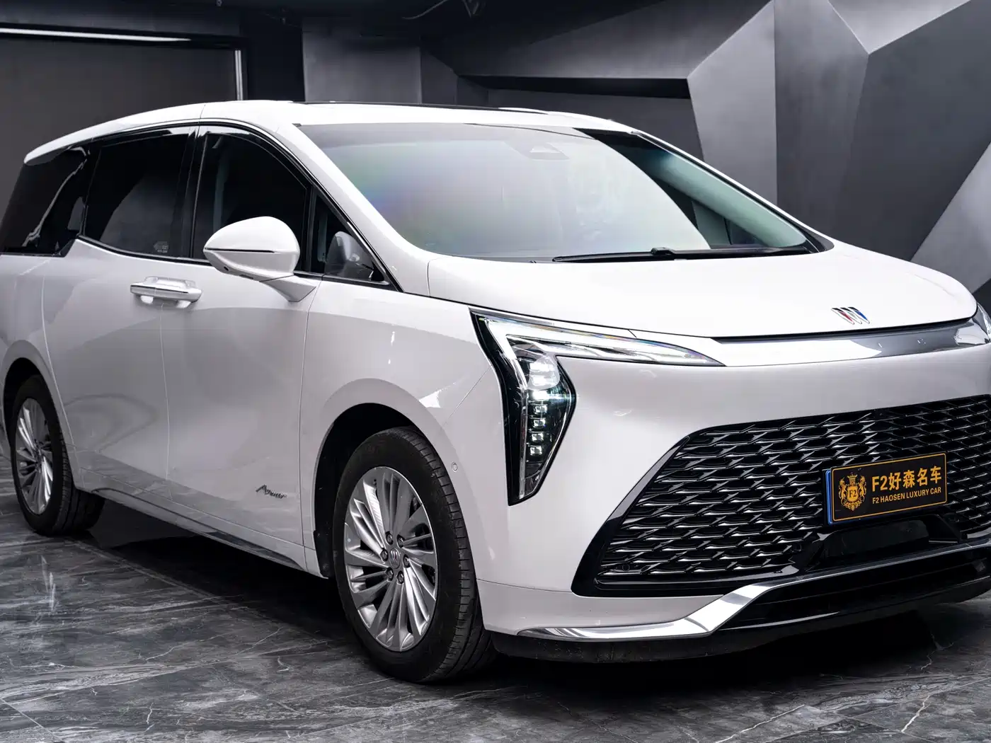 Buick Century 2023 2.0T 6-Seat World Edition фото 3