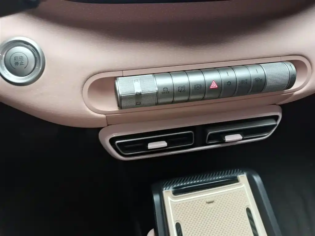 BYD Seagull 2023 Vitality Edition фото 14