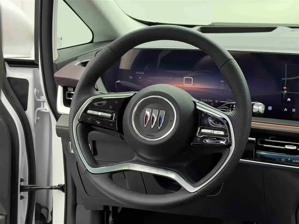Buick Century 2025 2.0T 7-Seater World Edition фото 11