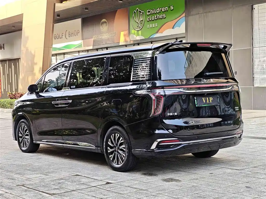 Hongqi HQ9 PHEV 2024 Model 2.0T AWD Luxury Edition фото 14
