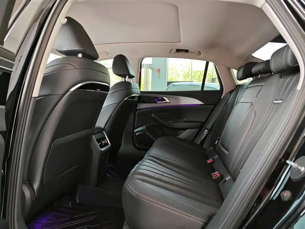 Hongqi H5 2023 2.0T Auto Smart Connect Flag Comfort фото 10