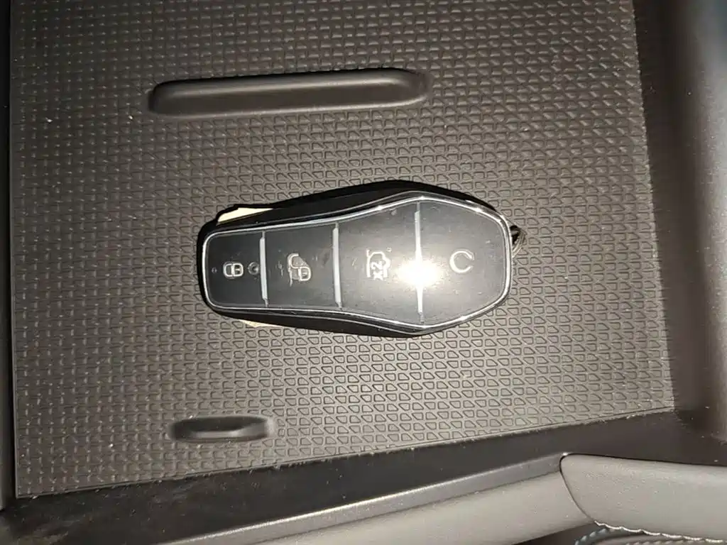BYD Qin L 2024 DM-i 80KM Leading Edition фото 9