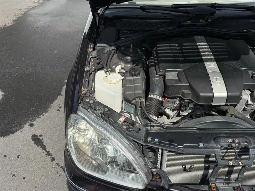 Mercedes-Benz S-Class 2003 2004 S 350