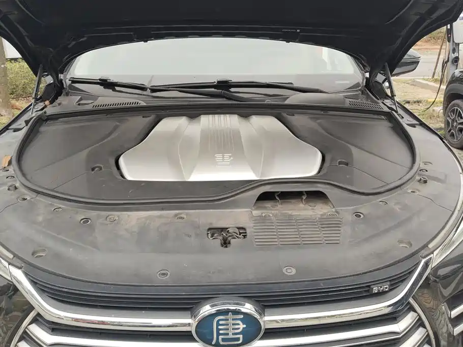 BYD Tang New Energy 2018 DM 2.0T AWD Smart Connection Genesis Edition 7-Seater China V фото 10