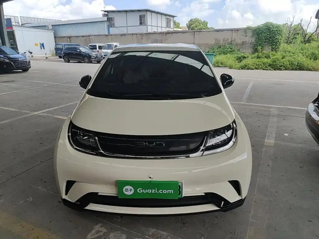 BYD Dolphin 2025 2025 420km Freedom Edition