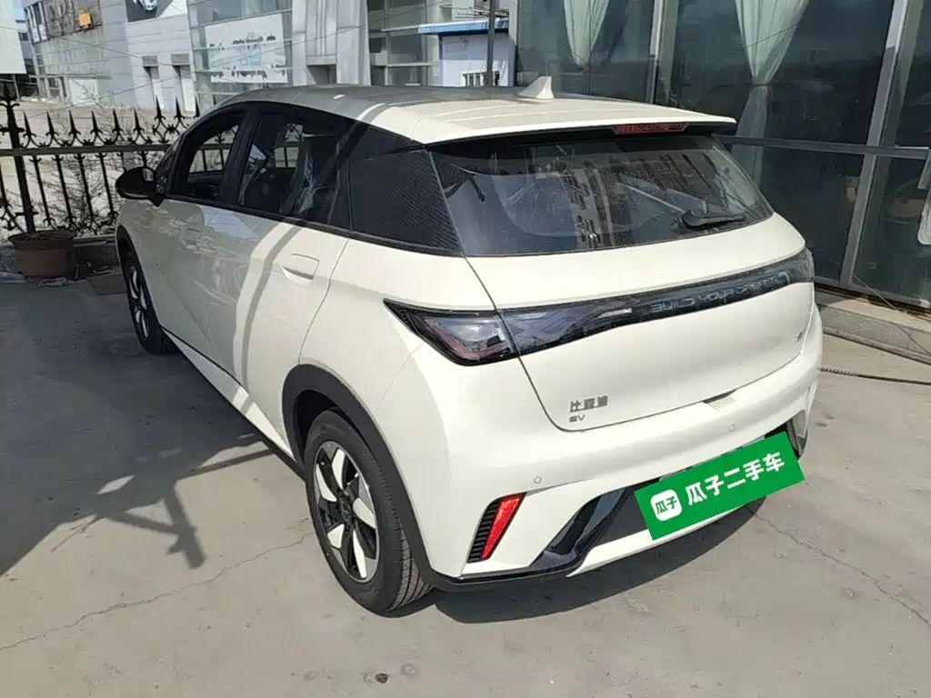Фото 5 - BYD Dolphin
