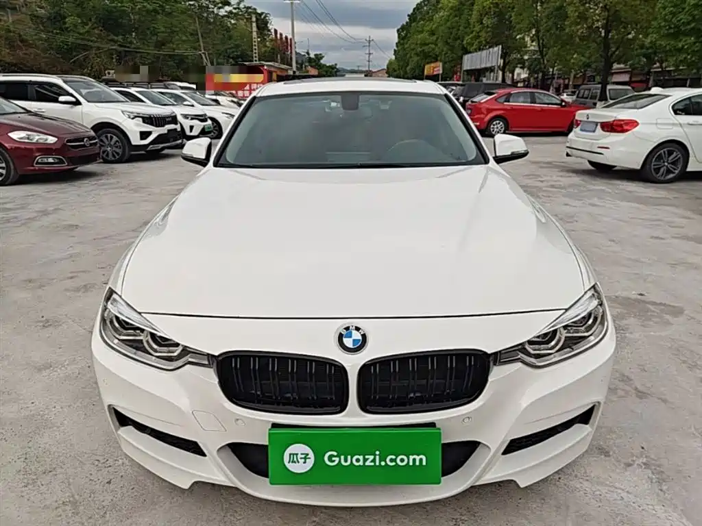 BMW 3 Series 2019 320Li M Luxury Package фото 3