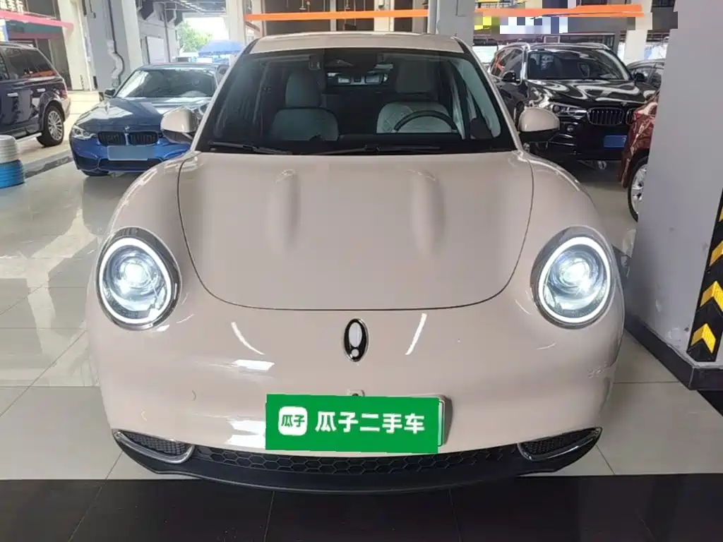 Ora Good Cat 2025 2024 401km Luxury