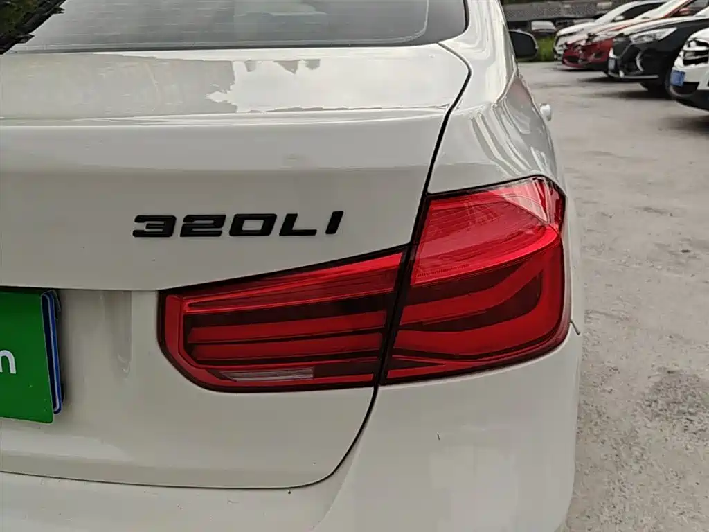 BMW 3 Series 2019 320Li M Luxury Package фото 8
