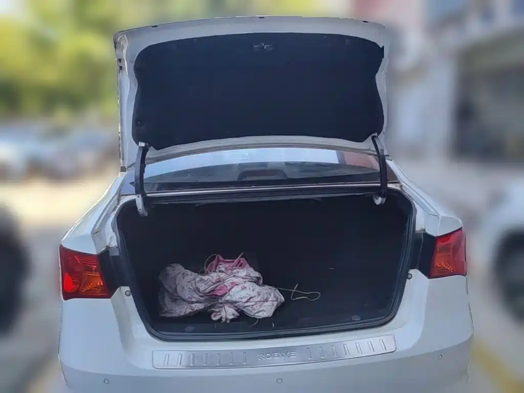 Фото 24 - Roewe 350