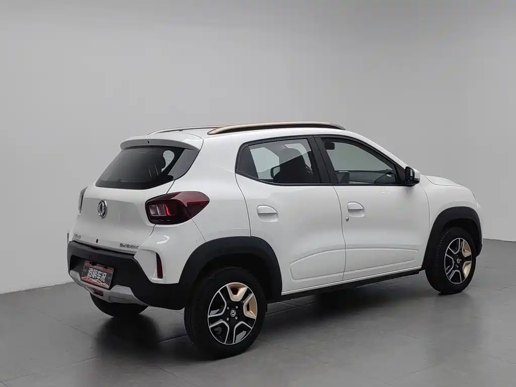 Dongfeng Yipai Nano BOX 2023 2022 Wind Chaser Edition 331KM Standard