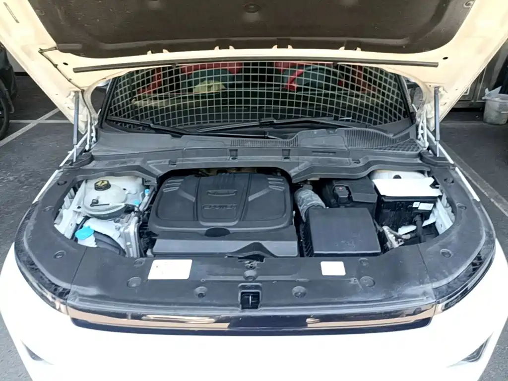 Photo 20 - Geely ICON