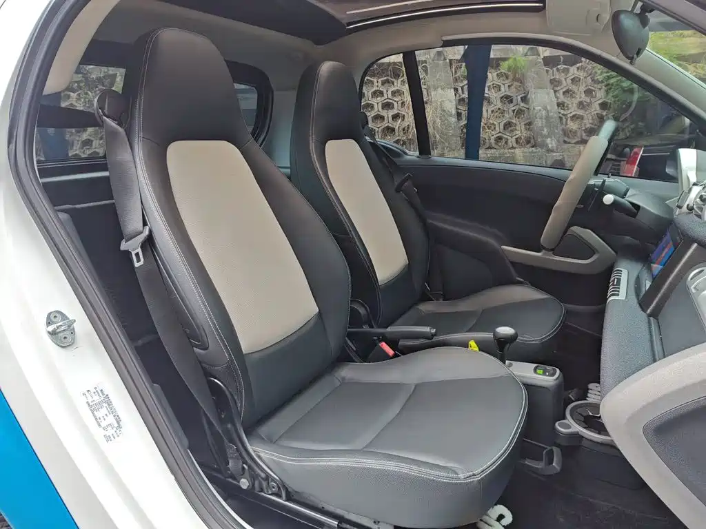 smart fortwo 2013 2013 1.0 MHD Hardtop Ice Special Edition