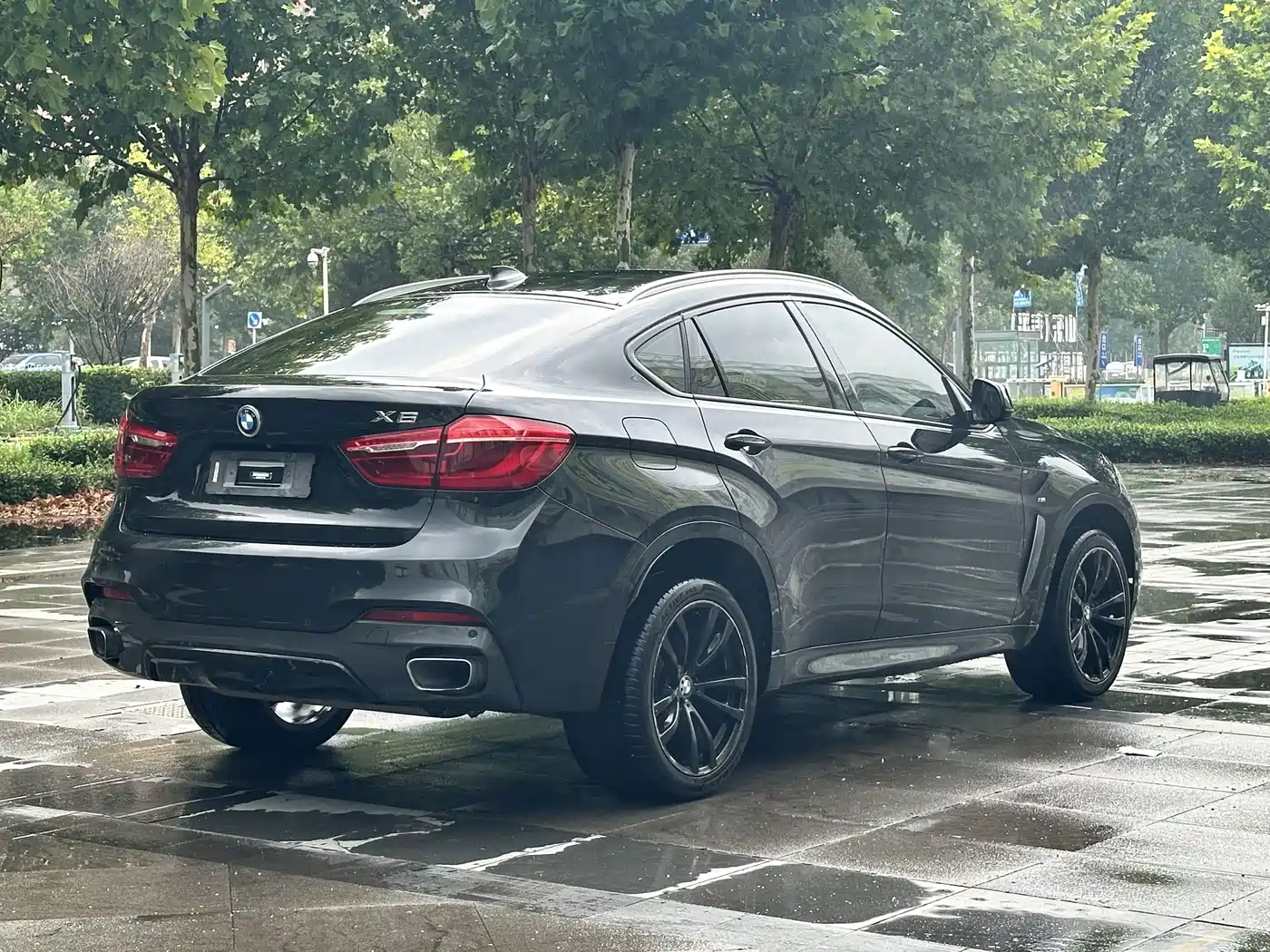 Photo 11 - BMW X6