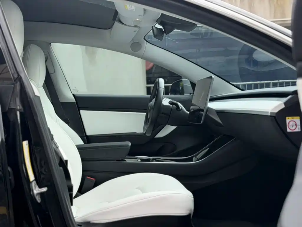Tesla Model 3 (Import) 2019 2019 Long Range RWD Version