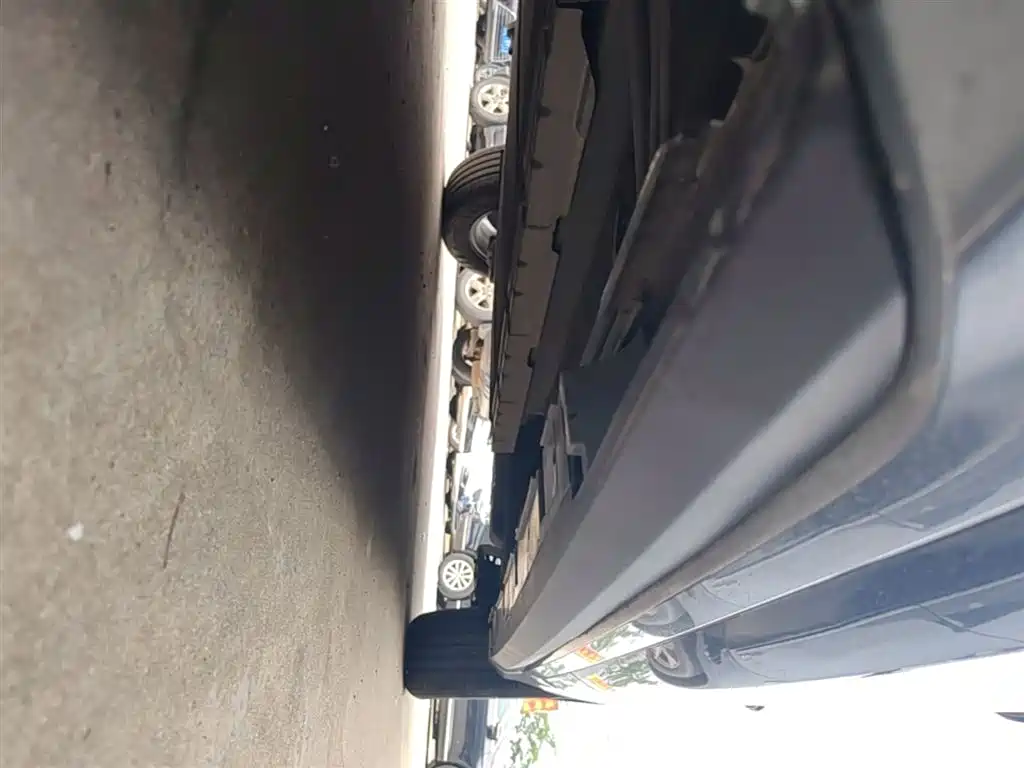 BYD Destroyer 05 2023 Champion Edition DM-i 55KM Luxury фото 22