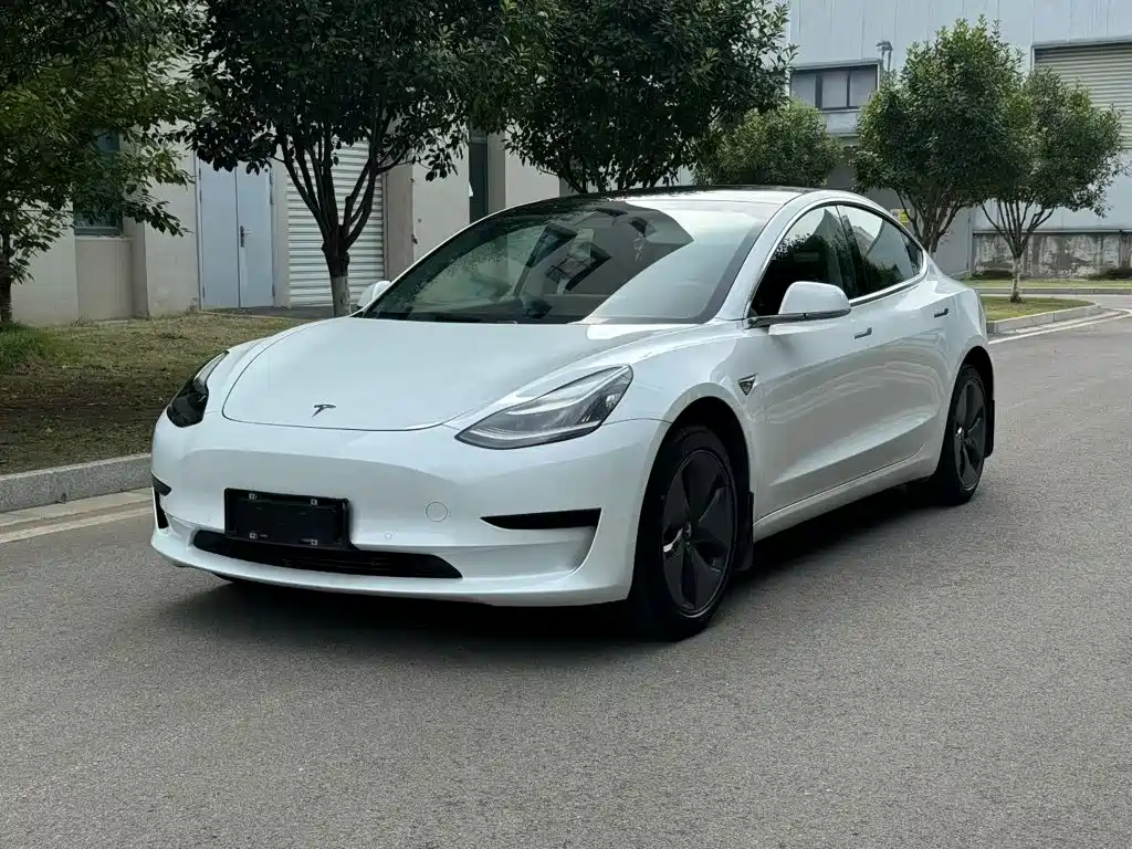 2020 Tesla Model 3 (Import)