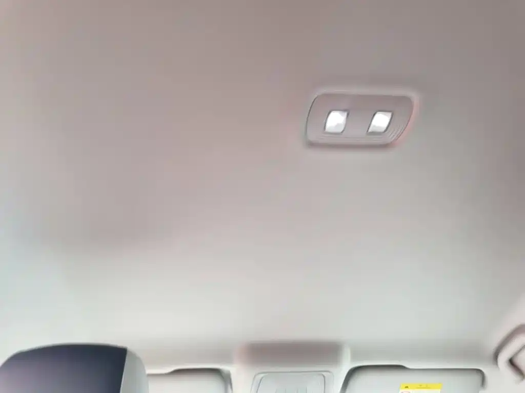 BYD Destroyer 05 2024 2023 Champion Edition DM-i 55KM Luxury
