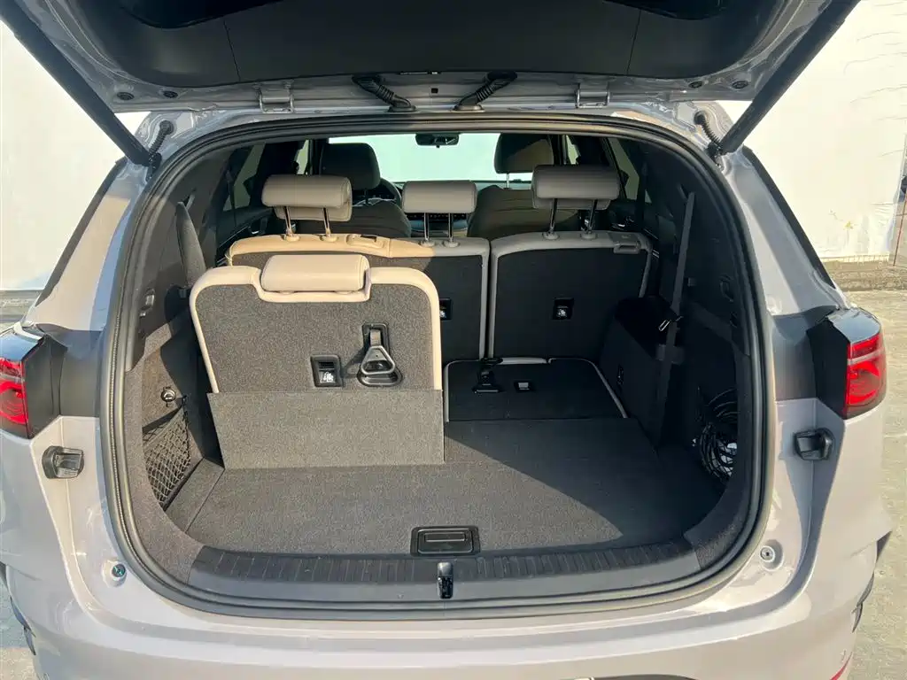 BYD Tang New Energy 2025 Smart Driving Edition DM-i 115KM Premium фото 17