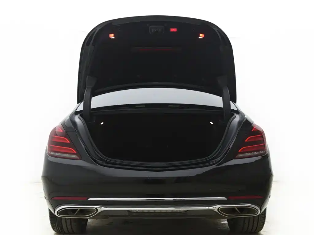 Mercedes-Benz S-Class 2020 S 350 L Business Edition Collector's Version фото 14