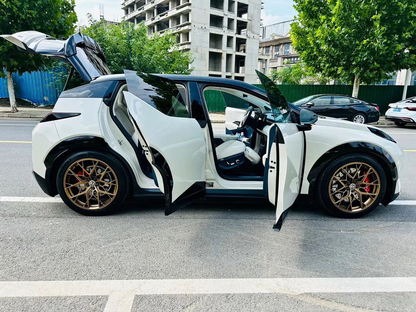 ZEEKR X 2024 2024 Model 4-Seat RWD Version