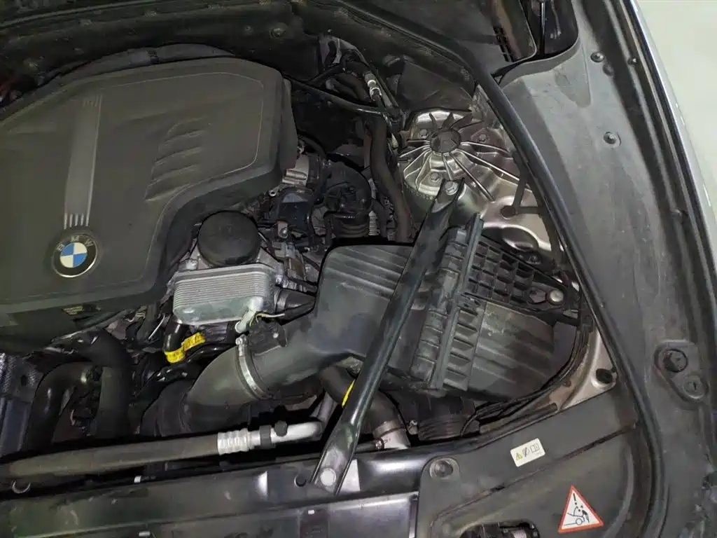 BMW 5 Series 2014 525Li Luxury Design Package фото 22