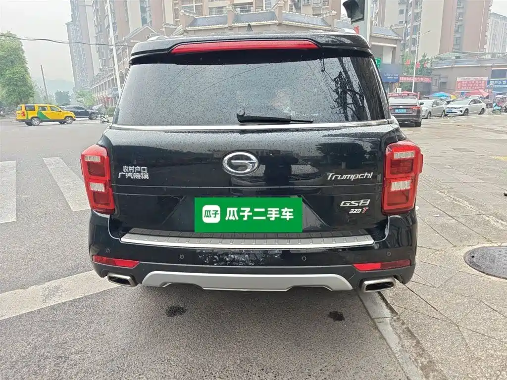 GAC Trumpchi Trumpchi GS8 2017 320T 2WD Luxury Edition (7-Seater) фото 4