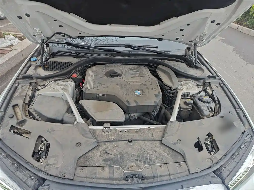 BMW 5 Series 2022 Facelift II 530Li Luxury Trim Premium Package фото 16