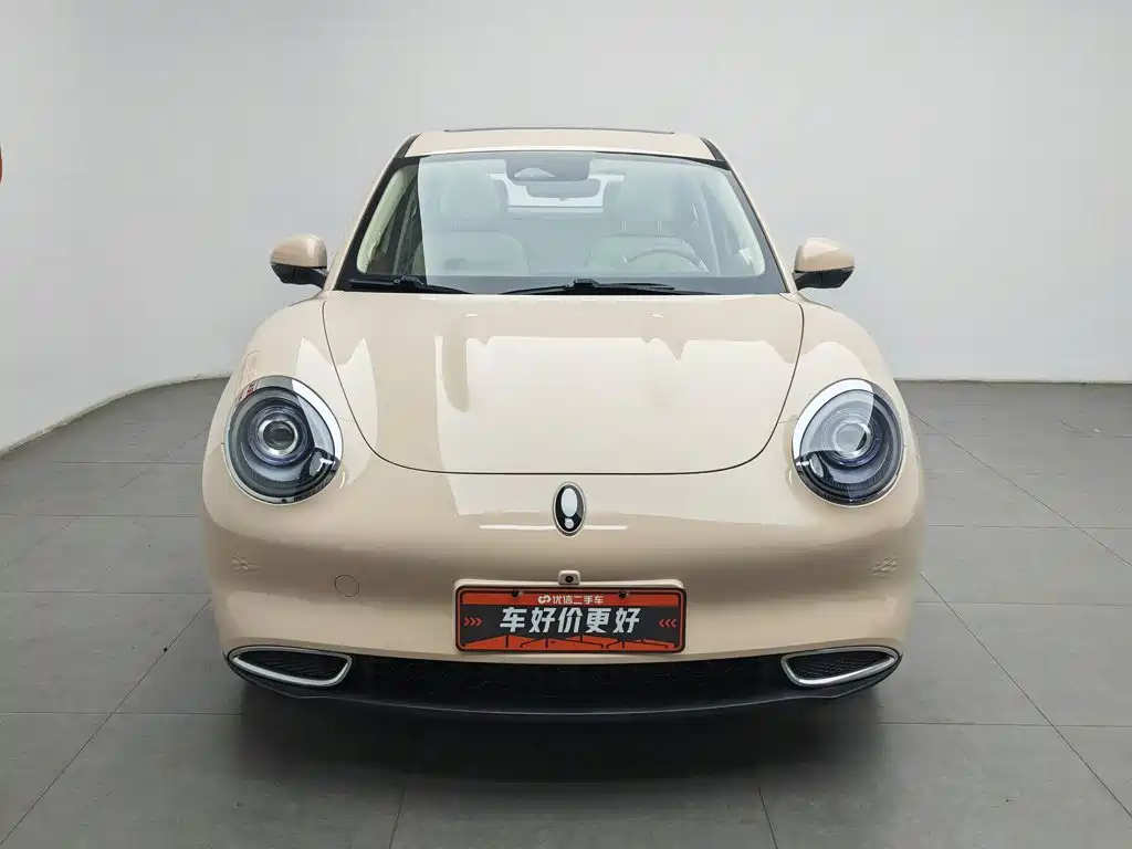 Ora Good Cat 2024 2023 401km Standard Range Honor Edition (LFP)