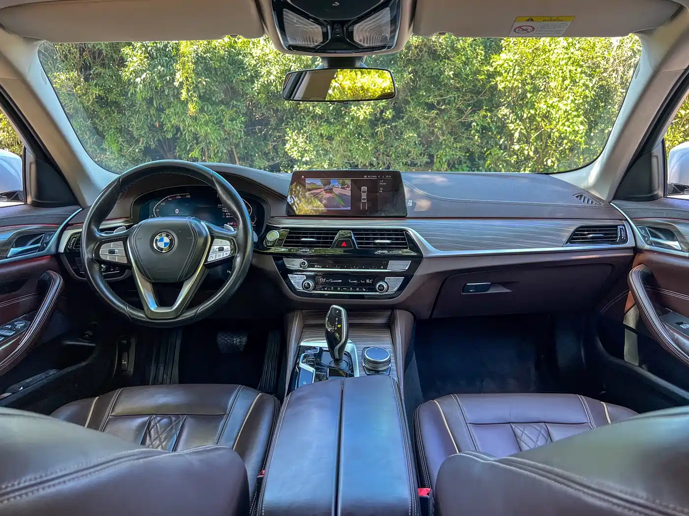 BMW 5 Series 2020 530Li Leading Luxury Package фото 15