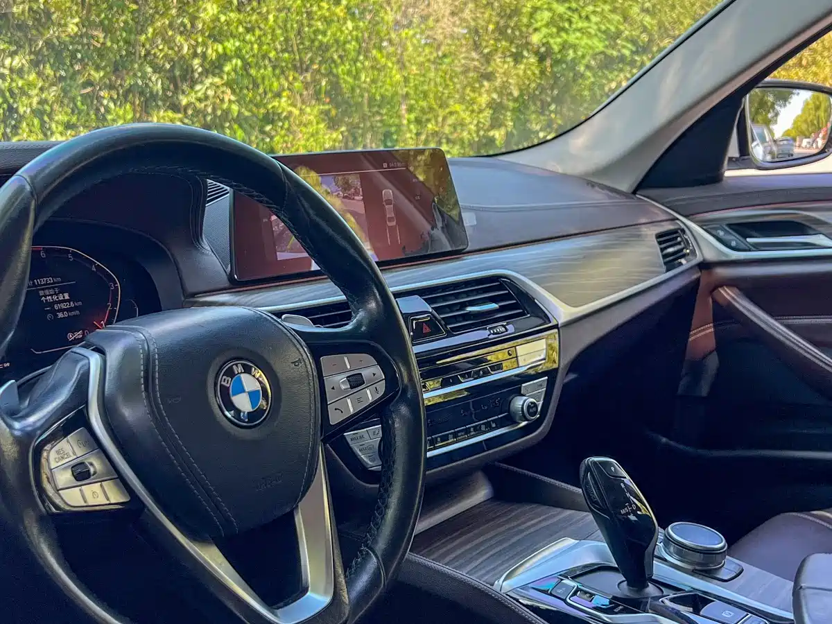 BMW 5 Series 2020 530Li Leading Luxury Package фото 12
