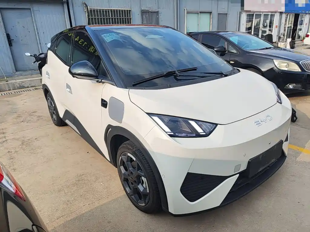 BYD Seagull 2026 2025 Smart Drive Edition 305km Freedom Version
