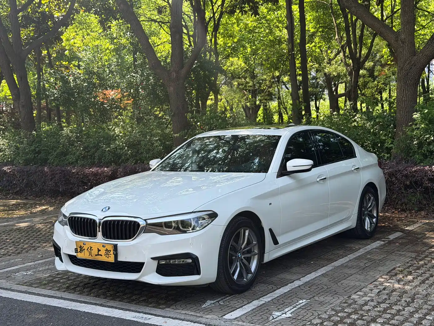 BMW 5 Series (Import) 2018 525i M Sport Package