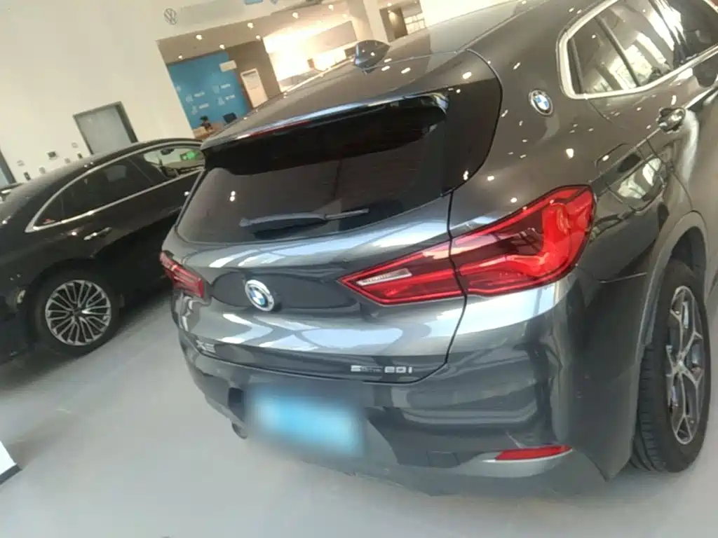 BMW X2 (Import) 2019 2019 sDrive20i M Off-Road Package China VI
